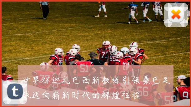 世界杯巡礼巴西新教练引领桑巴足球迈向崭新时代的辉煌征程
